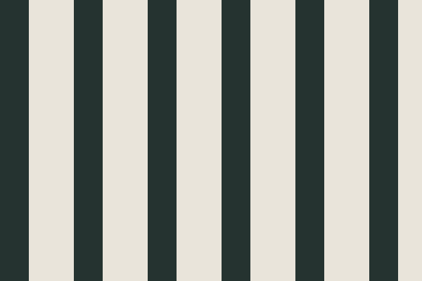 Midnight stripes for Tesla Model Y — flat artwork reference